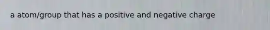 a atom/group that has a positive and negative charge