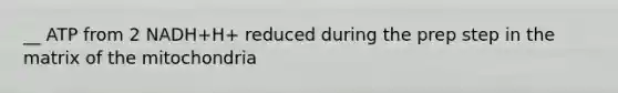 __ ATP from 2 NADH+H+ reduced during the prep step in the matrix of the mitochondria