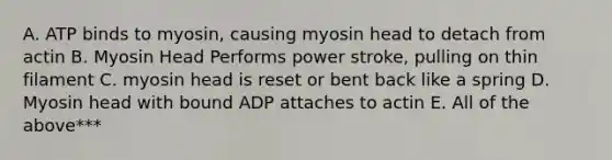 A. ATP binds to myosin, causing myosin head to detach from actin B. Myosin Head Performs power stroke, pulling on thin filament C. myosin head is reset or bent back like a spring D. Myosin head with bound ADP attaches to actin E. All of the above***