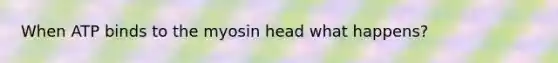 When ATP binds to the myosin head what happens?