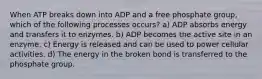 When ATP breaks down into ADP and a free phosphate group, which of the following processes occurs? a) ADP absorbs energy and transfers it to enzymes. b) ADP becomes the active site in an enzyme. c) Energy is released and can be used to power cellular activities. d) The energy in the broken bond is transferred to the phosphate group.