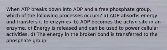 When ATP breaks down into ADP and a free phosphate group, which of the following processes occurs? a) ADP absorbs energy and transfers it to enzymes. b) ADP becomes the active site in an enzyme. c) Energy is released and can be used to power cellular activities. d) The energy in the broken bond is transferred to the phosphate group.