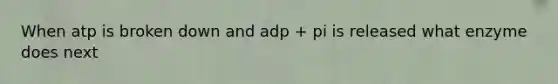 When atp is broken down and adp + pi is released what enzyme does next