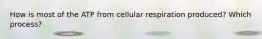 How is most of the ATP from cellular respiration produced? Which process?