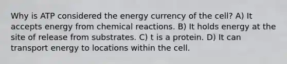 Why is ATP considered the energy currency of the cell? A) It accepts energy from chemical reactions. B) It holds energy at the site of release from substrates. C) t is a protein. D) It can transport energy to locations within the cell.