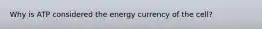 Why is ATP considered the energy currency of the cell?