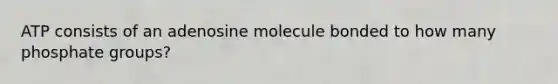 ATP consists of an adenosine molecule bonded to how many phosphate groups?