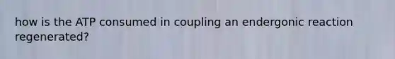 how is the ATP consumed in coupling an endergonic reaction regenerated?