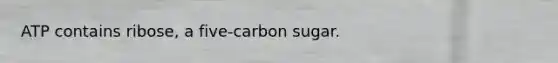 ATP contains ribose, a five-carbon sugar.