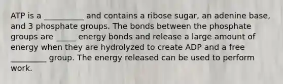 ATP is a __________ and contains a ribose sugar, an adenine base, and 3 phosphate groups. The bonds between the phosphate groups are _____ energy bonds and release a large amount of energy when they are hydrolyzed to create ADP and a free _________ group. The energy released can be used to perform work.