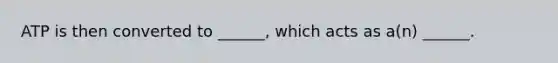 ATP is then converted to ______, which acts as a(n) ______.