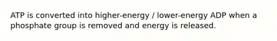 ATP is converted into higher-energy / lower-energy ADP when a phosphate group is removed and energy is released.