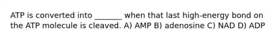 ATP is converted into _______ when that last high-energy bond on the ATP molecule is cleaved. A) AMP B) adenosine C) NAD D) ADP