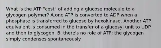 What is the ATP "cost" of adding a glucose molecule to a glycogen polymer? A.one ATP is converted to ADP when a phosphate is transferred to glucose by hexokinase. Another ATP equivalent is consumed in the transfer of a glucosyl unit to UDP and then to glycogen. B. there's no role of ATP; the glycogen simply condenses spontaneously