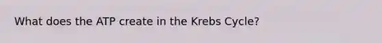 What does the ATP create in the <a href='https://www.questionai.com/knowledge/kqfW58SNl2-krebs-cycle' class='anchor-knowledge'>krebs cycle</a>?