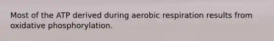 Most of the ATP derived during aerobic respiration results from oxidative phosphorylation.