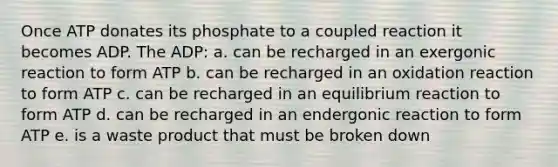 Once ATP donates its phosphate to a coupled reaction it becomes ADP. The ADP: a. can be recharged in an exergonic reaction to form ATP b. can be recharged in an oxidation reaction to form ATP c. can be recharged in an equilibrium reaction to form ATP d. can be recharged in an endergonic reaction to form ATP e. is a waste product that must be broken down