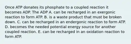 Once ATP donates its phosphate to a coupled reaction it becomes ADP. The ADP A. can be recharged in an exergonic reaction to form ATP. B. is a waste product that must be broken down. C. can be recharged in an endergonic reaction to form ATP. D. becomes the needed potential energy source for another coupled reaction. E. can be recharged in an oxidation reaction to form ATP.