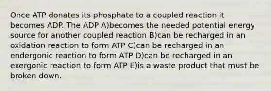 Once ATP donates its phosphate to a coupled reaction it becomes ADP. The ADP A)becomes the needed potential energy source for another coupled reaction B)can be recharged in an oxidation reaction to form ATP C)can be recharged in an endergonic reaction to form ATP D)can be recharged in an exergonic reaction to form ATP E)is a waste product that must be broken down.