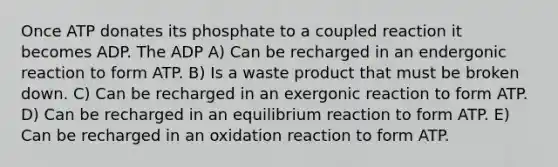 Once ATP donates its phosphate to a coupled reaction it becomes ADP. The ADP A) Can be recharged in an endergonic reaction to form ATP. B) Is a waste product that must be broken down. C) Can be recharged in an exergonic reaction to form ATP. D) Can be recharged in an equilibrium reaction to form ATP. E) Can be recharged in an oxidation reaction to form ATP.