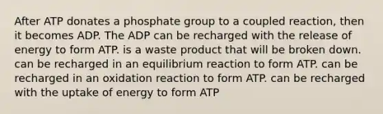 After ATP donates a phosphate group to a coupled reaction, then it becomes ADP. The ADP can be recharged with the release of energy to form ATP. is a waste product that will be broken down. can be recharged in an equilibrium reaction to form ATP. can be recharged in an oxidation reaction to form ATP. can be recharged with the uptake of energy to form ATP