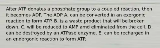 After ATP donates a phosphate group to a coupled reaction, then it becomes ADP. The ADP A. can be converted in an exergonic reaction to form ATP. B. is a waste product that will be broken down. C. will be reduced to AMP amd eliminated from the cell. D. can be destroyed by an ATPase enzyme. E. can be recharged in an endergonic reaction to form ATP.