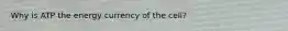 Why is ATP the energy currency of the cell?