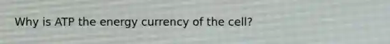 Why is ATP the energy currency of the cell?