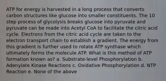 ATP for energy is harvested in a long process that converts carbon structures like glucose into smaller constituents. The 10 step process of glycolysis breaks glucose into pyruvate and pyruvate can be made into Acetyl CoA to facilitate the citric acid cycle. Electrons from the citric acid cycle are taken to the electron transport chain to establish a gradient. The energy from this gradient is further used to rotate ATP synthase which ultimately forms the molecule ATP. What is this method of ATP formation known as? a. Substrate-level Phosphorylation b. Adenylate Kinase Reactions c. Oxidative Phosphorylation d. NTP Reaction e. None of the above