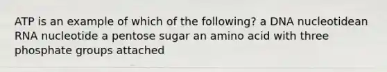 ATP is an example of which of the following? a DNA nucleotidean RNA nucleotide a pentose sugar an amino acid with three phosphate groups attached