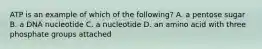 ATP is an example of which of the following? A. a pentose sugar B. a DNA nucleotide C. a nucleotide D. an amino acid with three phosphate groups attached