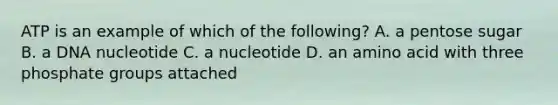 ATP is an example of which of the following? A. a pentose sugar B. a DNA nucleotide C. a nucleotide D. an amino acid with three phosphate groups attached