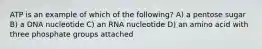 ATP is an example of which of the following? A) a pentose sugar B) a DNA nucleotide C) an RNA nucleotide D) an amino acid with three phosphate groups attached