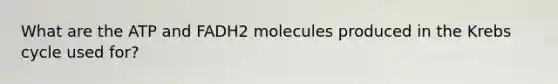 What are the ATP and FADH2 molecules produced in the Krebs cycle used for?