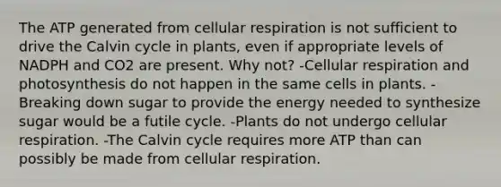 The ATP generated from <a href='https://www.questionai.com/knowledge/k1IqNYBAJw-cellular-respiration' class='anchor-knowledge'>cellular respiration</a> is not sufficient to drive the Calvin cycle in plants, even if appropriate levels of NADPH and CO2 are present. Why not? -Cellular respiration and photosynthesis do not happen in the same cells in plants. -Breaking down sugar to provide the energy needed to synthesize sugar would be a futile cycle. -Plants do not undergo cellular respiration. -The Calvin cycle requires more ATP than can possibly be made from cellular respiration.