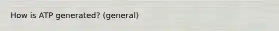 How is ATP generated? (general)