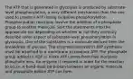 The ATP that is generated in glycolysis is produced by substrate-level phosphorylation, a very different mechanism than the one used to produce ATP during oxidative phosphorylation. Phosphorylation reactions involve the addition of a phosphate group to another molecule. Sort the statements into the appropriate bin depending on whether or not they correctly describe some aspect of substrate-level phosphorylation in glycolysis. One of the substrates is a molecule derived from the breakdown of glucose. The enzymes involved in ATP synthesis must be attached to a membrane to produce ATP. The phosphate group added to ADP to make ATP comes from free inorganic phosphate ions. An enzyme is required in order for the reaction to occur. A bond must be broken between an organic molecule and phosphate before ATP can form.