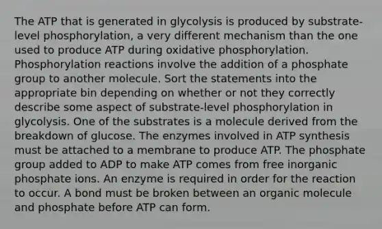 The ATP that is generated in glycolysis is produced by substrate-level phosphorylation, a very different mechanism than the one used to produce ATP during oxidative phosphorylation. Phosphorylation reactions involve the addition of a phosphate group to another molecule. Sort the statements into the appropriate bin depending on whether or not they correctly describe some aspect of substrate-level phosphorylation in glycolysis. One of the substrates is a molecule derived from the breakdown of glucose. The enzymes involved in ATP synthesis must be attached to a membrane to produce ATP. The phosphate group added to ADP to make ATP comes from free inorganic phosphate ions. An enzyme is required in order for the reaction to occur. A bond must be broken between an organic molecule and phosphate before ATP can form.