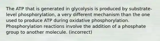 The ATP that is generated in glycolysis is produced by substrate-level phosphorylation, a very different mechanism than the one used to produce ATP during oxidative phosphorylation. Phosphorylation reactions involve the addition of a phosphate group to another molecule. (incorrect)