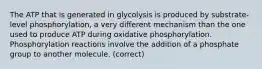 The ATP that is generated in glycolysis is produced by substrate-level phosphorylation, a very different mechanism than the one used to produce ATP during oxidative phosphorylation. Phosphorylation reactions involve the addition of a phosphate group to another molecule. (correct)