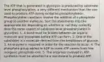 The ATP that is generated in glycolysis is produced by substrate-level phosphorylation, a very different mechanism than the one used to produce ATP during oxidative phosphorylation. Phosphorylation reactions involve the addition of a phosphate group to another molecule. Sort the statements into the appropriate bin depending on whether or not they correctly describe some aspect of substrate-level phosphorylation in glycolysis. 1. A bond must be broken between an organic molecule and phosphate before ATP can form. 2. One of the substrates is a molecule derived from the breakdown of glucose. 3. An enzyme is required in order for the reaction to occur. 4. The phosphate group added to ADP to make ATP comes from free inorganic phosphate ions. 5. The enzymes involved in ATP synthesis must be attached to a membrane to produce ATP.