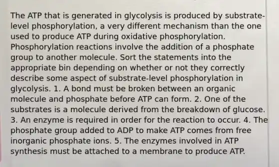 The ATP that is generated in glycolysis is produced by substrate-level phosphorylation, a very different mechanism than the one used to produce ATP during oxidative phosphorylation. Phosphorylation reactions involve the addition of a phosphate group to another molecule. Sort the statements into the appropriate bin depending on whether or not they correctly describe some aspect of substrate-level phosphorylation in glycolysis. 1. A bond must be broken between an organic molecule and phosphate before ATP can form. 2. One of the substrates is a molecule derived from the breakdown of glucose. 3. An enzyme is required in order for the reaction to occur. 4. The phosphate group added to ADP to make ATP comes from free inorganic phosphate ions. 5. The enzymes involved in ATP synthesis must be attached to a membrane to produce ATP.