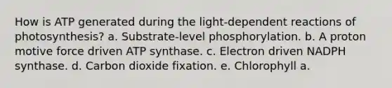 How is ATP generated during the light-dependent reactions of photosynthesis? a. Substrate-level phosphorylation. b. A proton motive force driven ATP synthase. c. Electron driven NADPH synthase. d. Carbon dioxide fixation. e. Chlorophyll a.