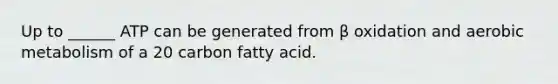 Up to ______ ATP can be generated from β oxidation and aerobic metabolism of a 20 carbon fatty acid.