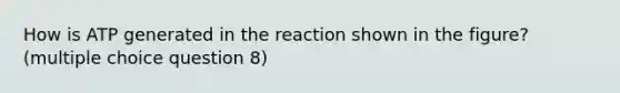 How is ATP generated in the reaction shown in the figure? (multiple choice question 8)