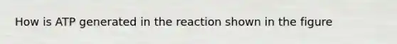 How is ATP generated in the reaction shown in the figure