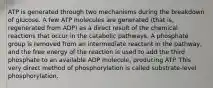 ATP is generated through two mechanisms during the breakdown of glucose. A few ATP molecules are generated (that is, regenerated from ADP) as a direct result of the chemical reactions that occur in the catabolic pathways. A phosphate group is removed from an intermediate reactant in the pathway, and the free energy of the reaction is used to add the third phosphate to an available ADP molecule, producing ATP. This very direct method of phosphorylation is called substrate-level phosphorylation.