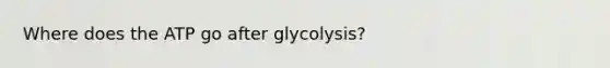 Where does the ATP go after glycolysis?