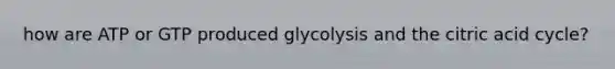 how are ATP or GTP produced glycolysis and the citric acid cycle?