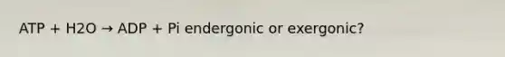 ATP + H2O → ADP + Pi endergonic or exergonic?